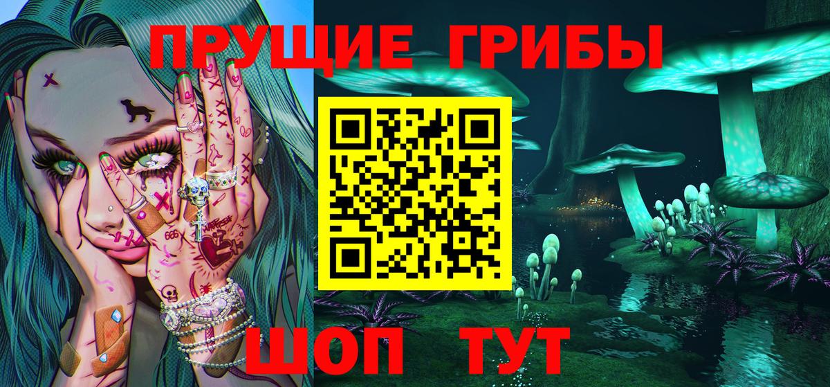 Псилоцибиновые грибы Cubensis  Вход с VPN  Сегежа 