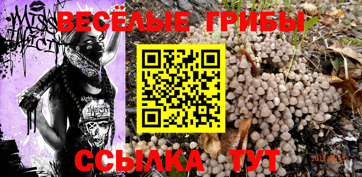 Псилоцибиновые грибы Psilocybine cubensis Сегежа